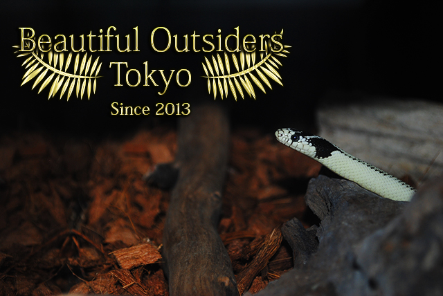 ヘビの飼育と爬虫類のオンラインショップサイト Beautiful Outsiders Tokyo